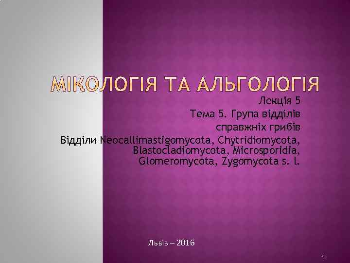 Лекція 5 Тема 5. Група відділів справжніх грибів Відділи Neocallimastigomycota, Chytridiomycota, Blastocladiomycota, Microsporidia, Glomeromycota,