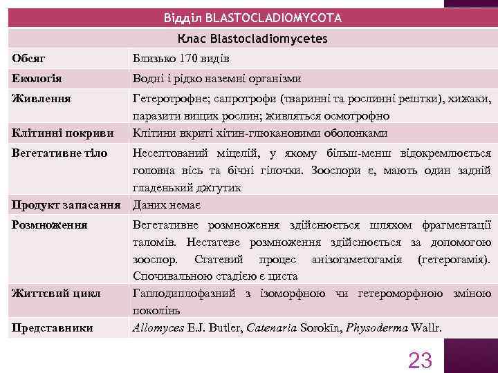 Відділ BLASTOCLADIOMYCOTA Клас Blastocladiomycetes Обсяг Близько 170 видів Екологія Водні і рідко наземні організми