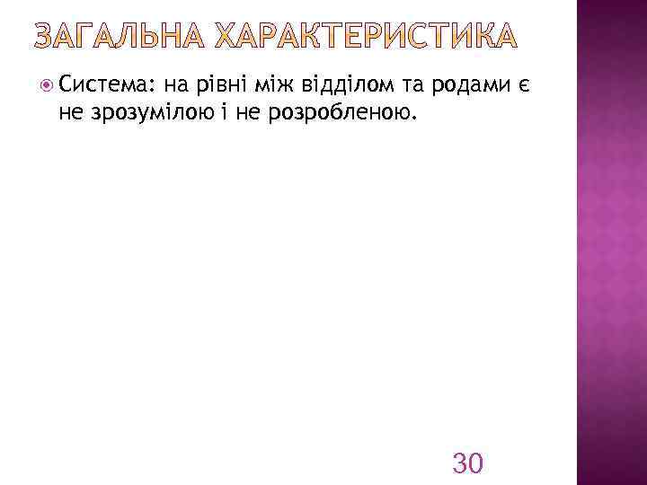  Система: на рівні між відділом та родами є не зрозумілою і не розробленою.