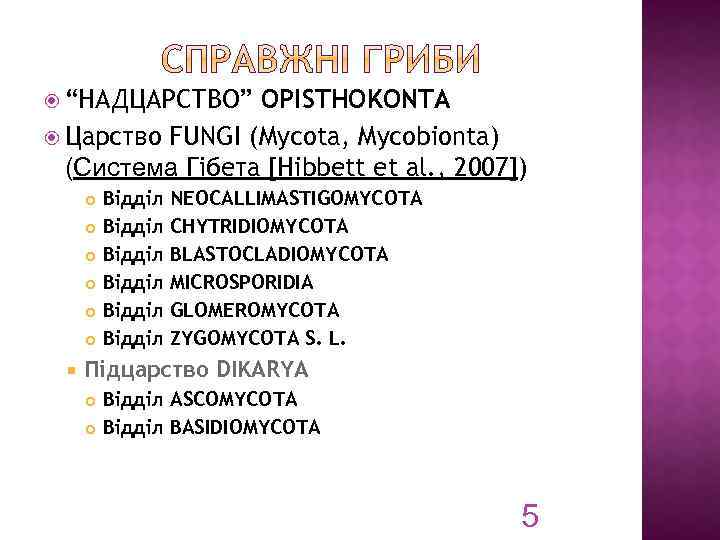  “НАДЦАРСТВО” OPISTHOKONTA Царство FUNGI (Mycota, Mycobionta) (Система Гібета [Hibbett et al. , 2007])