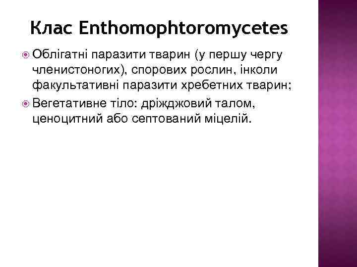 Клас Enthomophtoromycetes Облігатні паразити тварин (у першу чергу членистоногих), спорових рослин, інколи факультативні паразити
