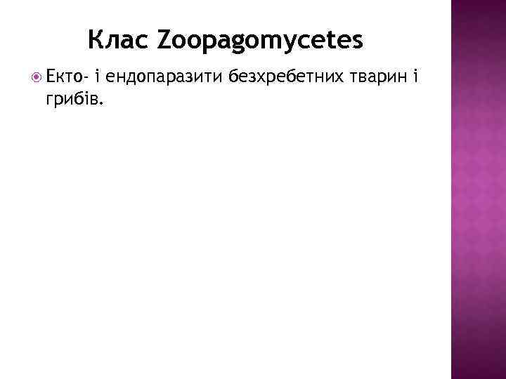 Клас Zoopagomycetes Екто- і ендопаразити безхребетних тварин і грибів. 