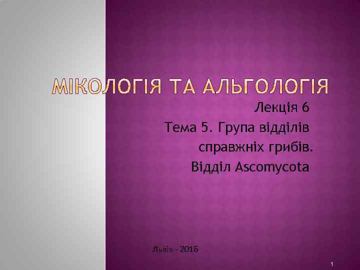 Лекція 6 Тема 5. Група відділів справжніх грибів. Відділ Ascomycota Львів - 2016 1