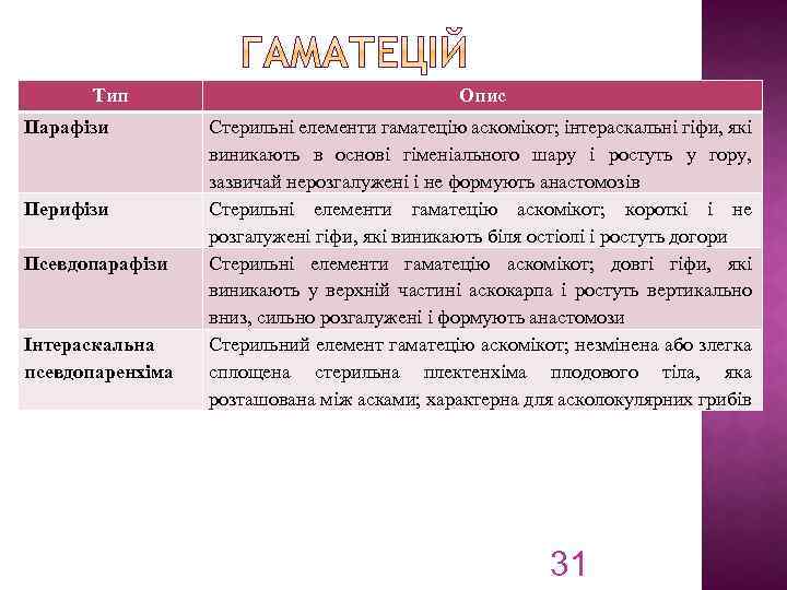 Тип Парафізи Перифізи Псевдопарафізи Інтераскальна псевдопаренхіма Опис Стерильні елементи гаматецію аскомікот; інтераскальні гіфи, які
