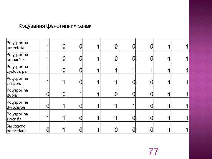 Кодування фенотипних ознак Polysporina urceolata 1 0 0 0 1 1 Polysporina lapponica 1