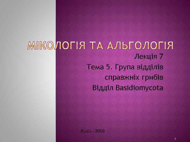 Лекція 7 Тема 5. Група відділів справжніх грибів Відділ Basidiomycota Львів - 2016 1