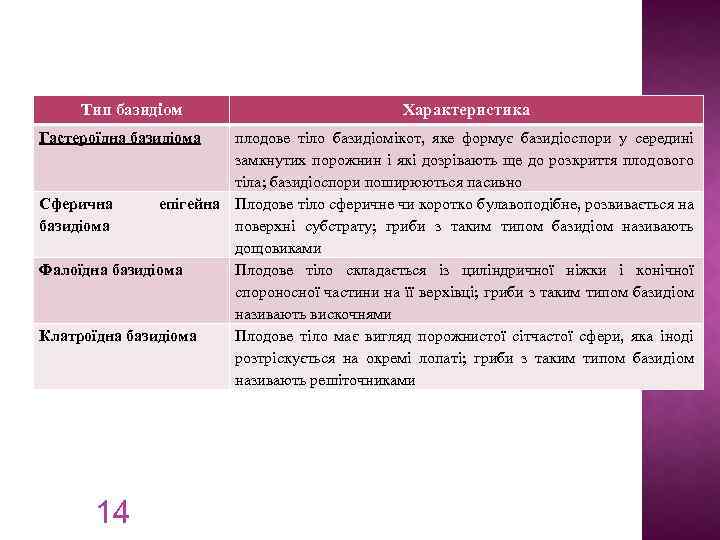 Тип базидіом Гастероїдна базидіома Характеристика плодове тіло базидіомікот, яке формує базидіоспори у середині замкнутих