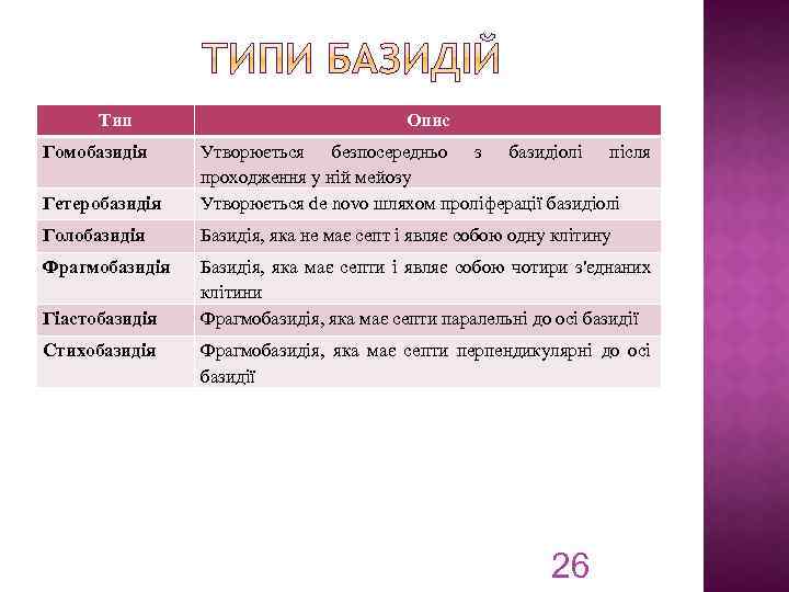 Тип Гомобазидія Опис Гетеробазидія Утворюється безпосередньо з базидіолі після проходження у ній мейозу Утворюється