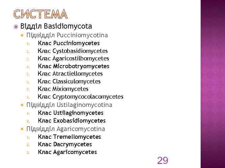  Відділ Basidiomycota Підвідділ Pucciniomycotina 1. 2. 3. 4. 5. 6. 7. 8. Підвідділ