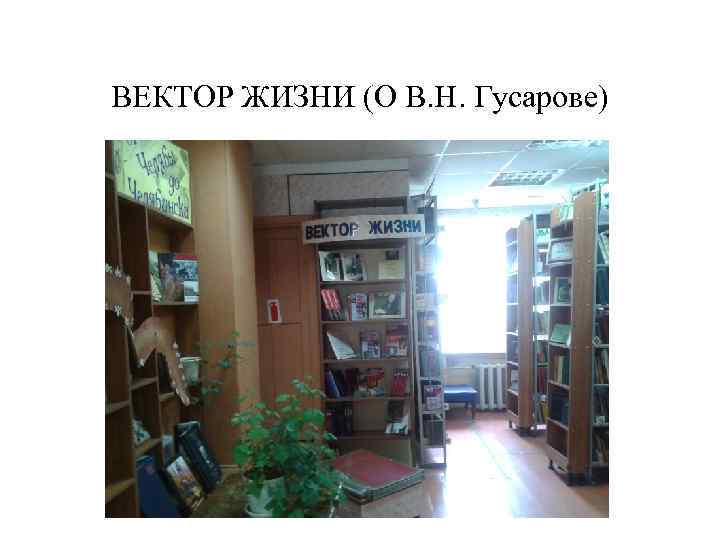 ВЕКТОР ЖИЗНИ (О В. Н. Гусарове) 