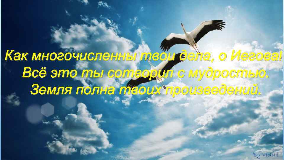 Как многочисленны твои дела, о Иегова! Всё это ты сотворил с мудростью. Земля полна