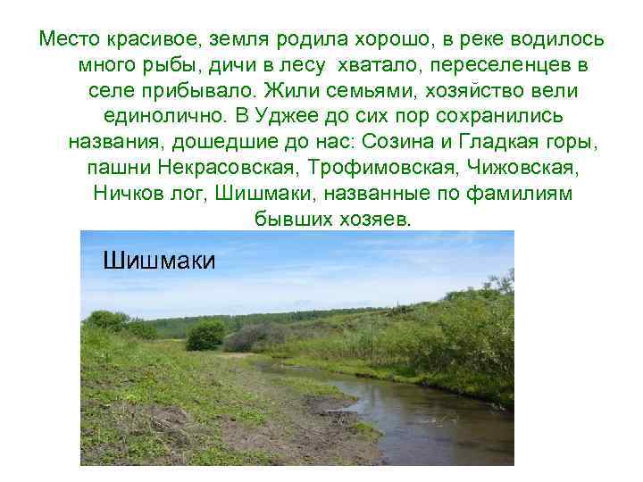 Место красивое, земля родила хорошо, в реке водилось много рыбы, дичи в лесу хватало,