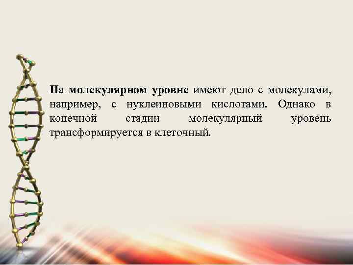 На молекулярном уровне имеют дело с молекулами, например, с нуклеиновыми кислотами. Однако в конечной