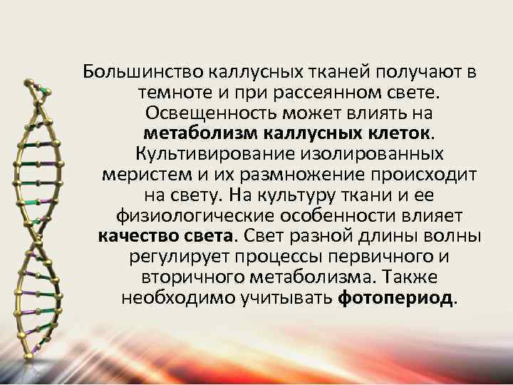 Большинство каллусных тканей получают в темноте и при рассеянном свете. Освещенность может влиять на