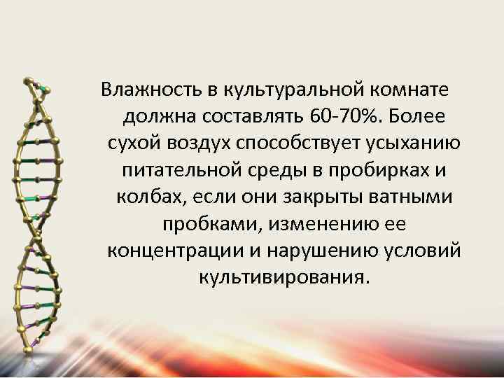 Влажность в культуральной комнате должна составлять 60 -70%. Более сухой воздух способствует усыханию питательной