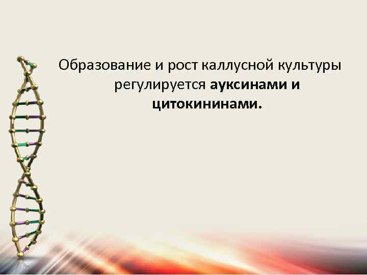 Образование и рост каллусной культуры регулируется ауксинами и цитокининами. 