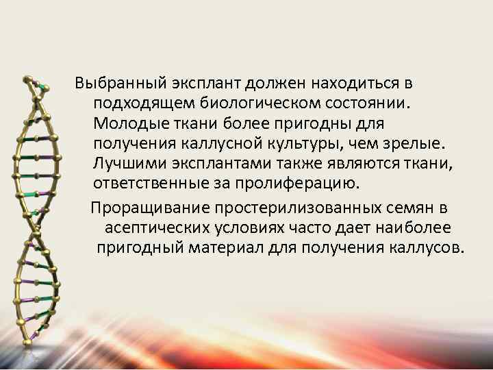 Выбранный эксплант должен находиться в подходящем биологическом состоянии. Молодые ткани более пригодны для получения