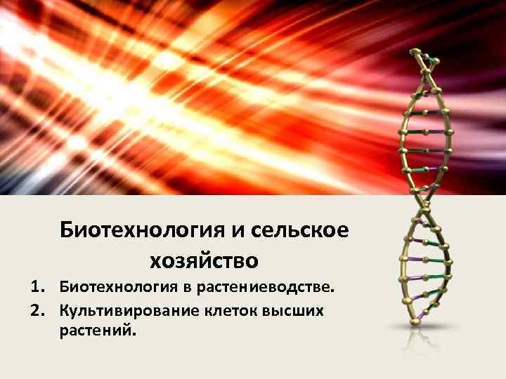 Биотехнология и сельское хозяйство 1. Биотехнология в растениеводстве. 2. Культивирование клеток высших растений. 