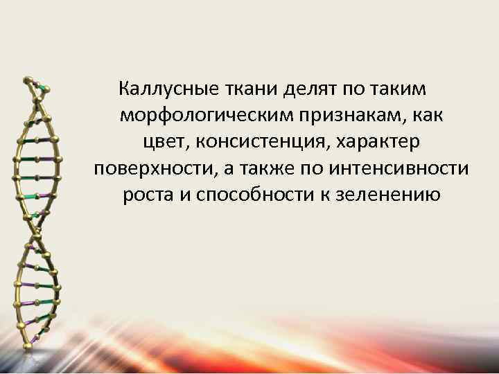 Каллусные ткани делят по таким морфологическим признакам, как цвет, консистенция, характер поверхности, а также
