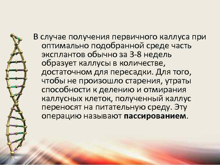 В случае получения первичного каллуса при оптимально подобранной среде часть эксплантов обычно за 3