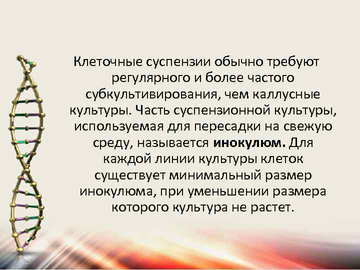 Клеточные суспензии обычно требуют регулярного и более частого субкультивирования, чем каллусные культуры. Часть суспензионной