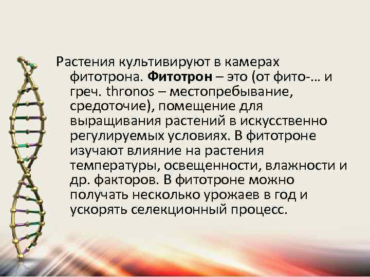 Растения культивируют в камерах фитотрона. Фитотрон – это (от фито-… и греч. thronos –