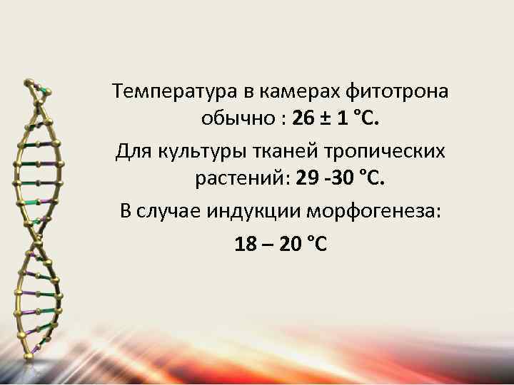 Температура в камерах фитотрона обычно : 26 ± 1 °С. Для культуры тканей тропических
