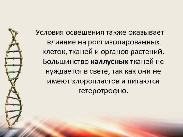 Условия освещения также оказывает влияние на рост изолированных клеток, тканей и органов растений. Большинство