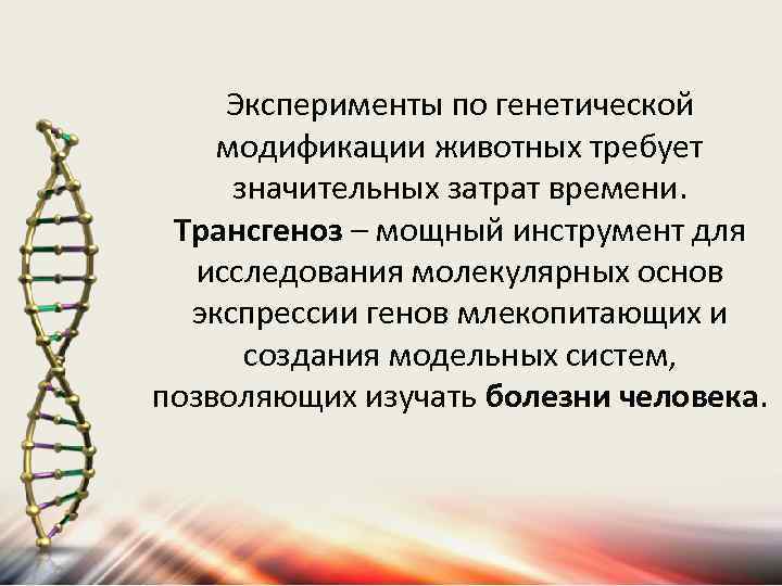 Эксперименты по генетической модификации животных требует значительных затрат времени. Трансгеноз – мощный инструмент для