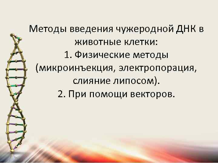 Методы введения чужеродной ДНК в животные клетки: 1. Физические методы (микроинъекция, электропорация, слияние липосом).