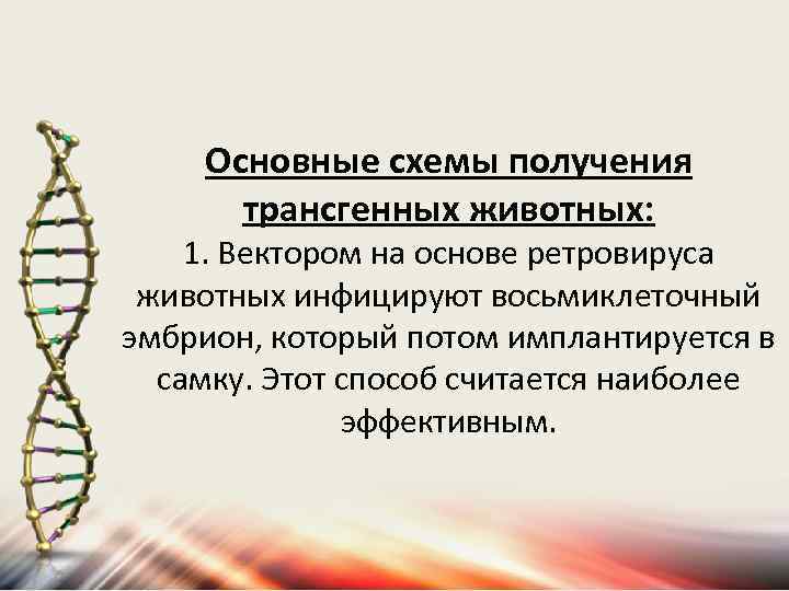 Основные схемы получения трансгенных животных: 1. Вектором на основе ретровируса животных инфицируют восьмиклеточный эмбрион,