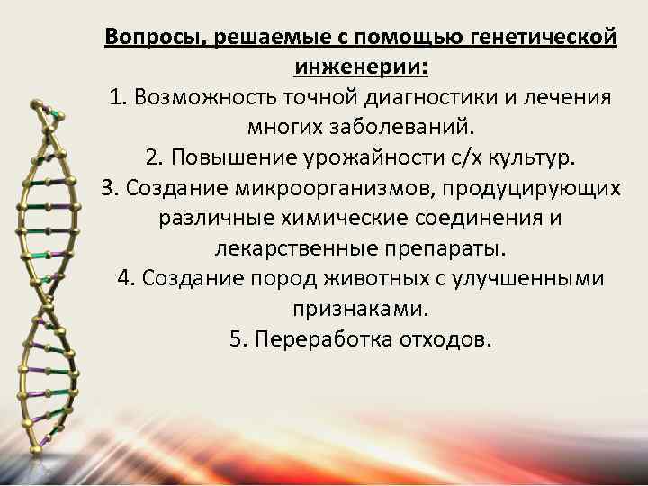 Вопросы, решаемые с помощью генетической инженерии: 1. Возможность точной диагностики и лечения многих заболеваний.