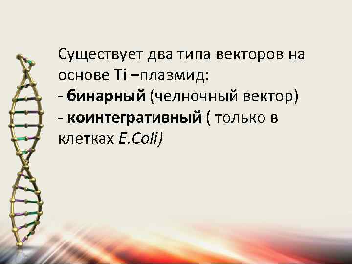 Существует два типа векторов на основе Тi –плазмид: - бинарный (челночный вектор) - коинтегративный