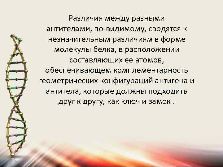 Различия между разными антителами, по-видимому, сводятся к незначительным различиям в форме молекулы белка, в