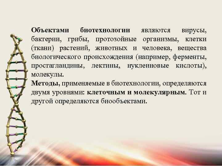 Объектами биотехнологии являются вирусы, бактерии, грибы, протозойные организмы, клетки (ткани) растений, животных и человека,