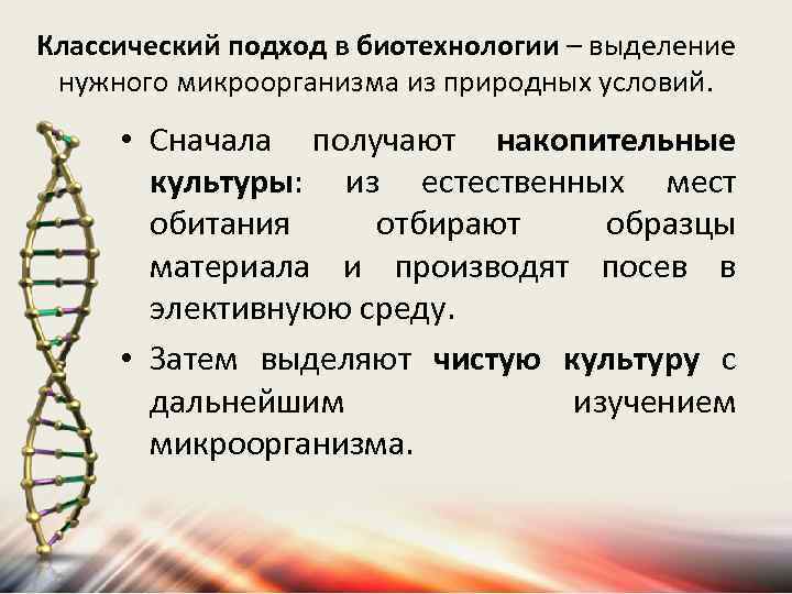 Классический подход в биотехнологии – выделение нужного микроорганизма из природных условий. • Сначала получают