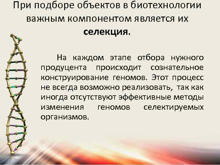 При подборе объектов в биотехнологии важным компонентом является их селекция. На каждом этапе отбора