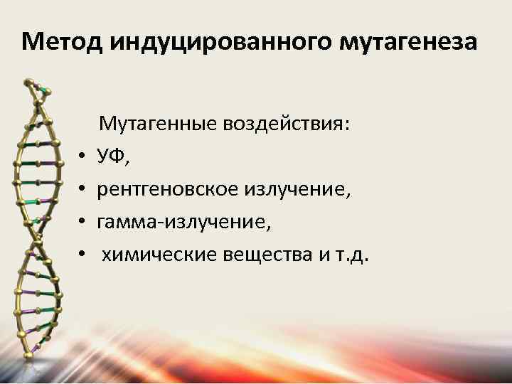 Метод индуцированного мутагенеза • • Мутагенные воздействия: УФ, рентгеновское излучение, гамма-излучение, химические вещества и