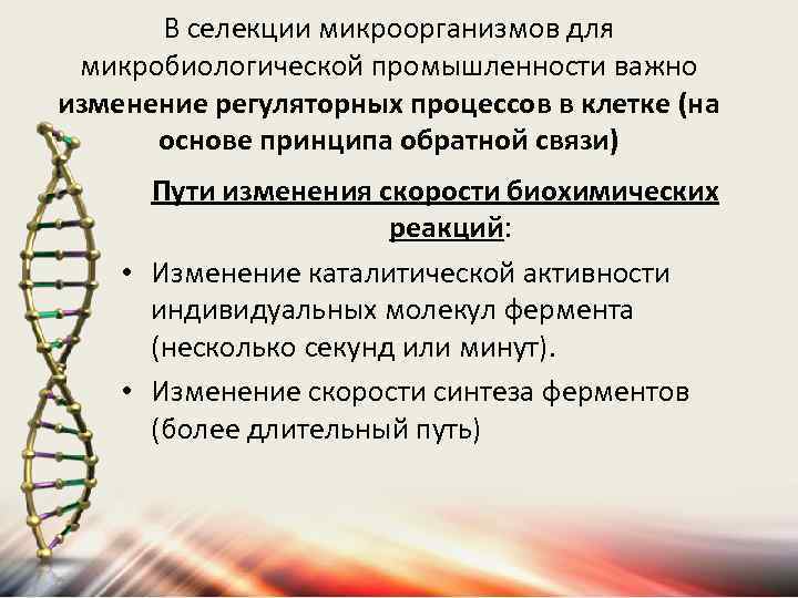 В селекции микроорганизмов для микробиологической промышленности важно изменение регуляторных процессов в клетке (на основе