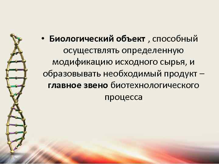 Между биологическими объектами. Биологические объекты. Биологические объекты примеры. Биологический объект фиксированный это. Определение- биологические объекты.