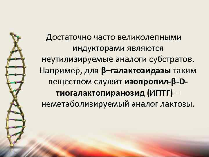 Достаточно часто великолепными индукторами являются неутилизируемые аналоги субстратов. Например, для β–галактозидазы таким веществом служит