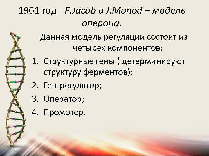 1961 год - F. Jacob и J. Monod – модель оперона. Данная модель регуляции