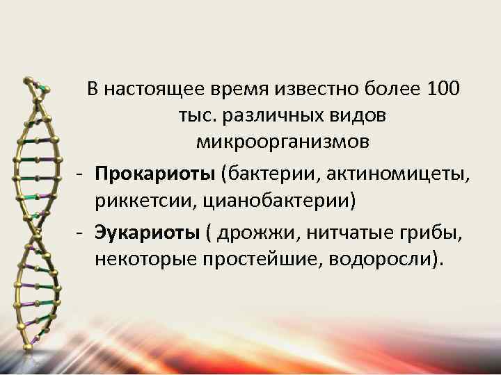 В настоящее время известно более 100 тыс. различных видов микроорганизмов - Прокариоты (бактерии, актиномицеты,