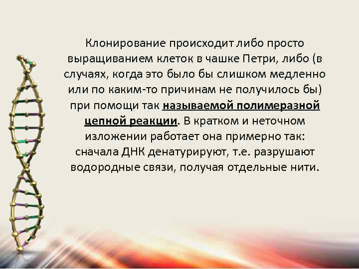Клонирование происходит либо просто выращиванием клеток в чашке Петри, либо (в случаях, когда это