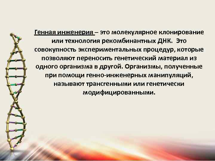 Генная инженерия – это молекулярное клонирование или технология рекомбинантных ДНК. Это совокупность экспериментальных процедур,