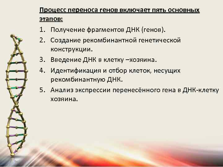 Фрагмент гена днк. Процесс переноса генов. Методы переноса ДНК В клетку. Методы прямого переноса генов в клетку. Прямые методы переноса ДНК.