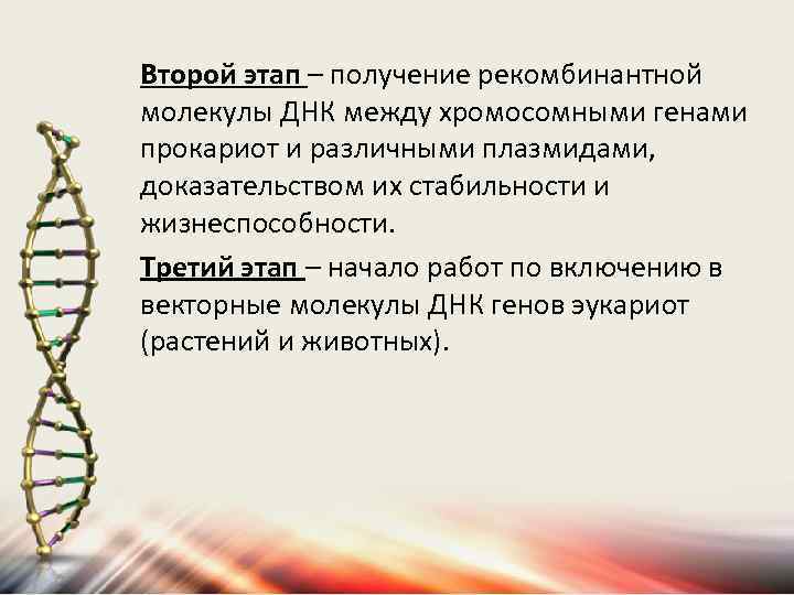 Второй этап – получение рекомбинантной молекулы ДНК между хромосомными генами прокариот и различными плазмидами,