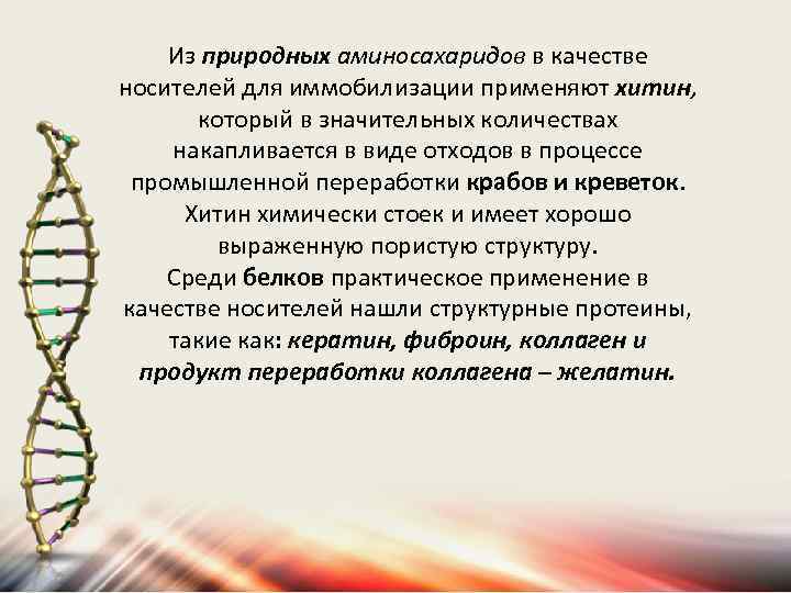 Из природных аминосахаридов в качестве носителей для иммобилизации применяют хитин, который в значительных количествах