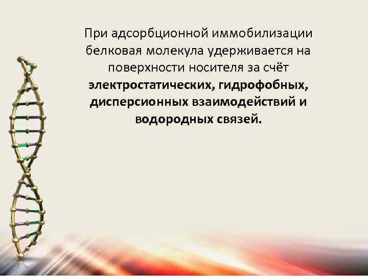 При адсорбционной иммобилизации белковая молекула удерживается на поверхности носителя за счёт электростатических, гидрофобных, дисперсионных