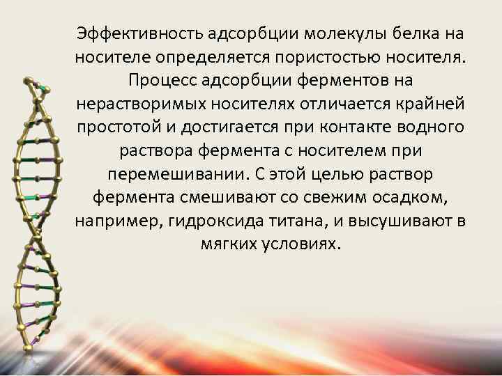 Эффективность адсорбции молекулы белка на носителе определяется пористостью носителя. Процесс адсорбции ферментов на нерастворимых